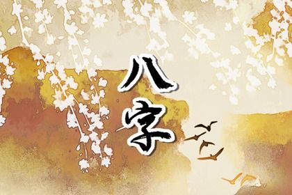 四象五行 查五行属性 八卦数字对应五行 五行衣每日分享