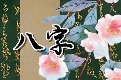 四柱结构：年月日时的分工