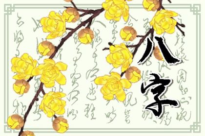 八字注解,八字阴阳平衡,线上测八字,查八字算卦