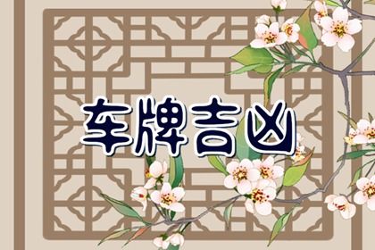 数理分如何理解