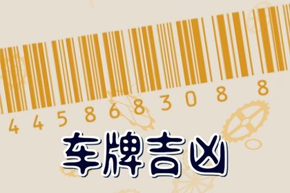 81 数理简介
