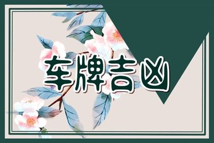 号码吉凶是什么