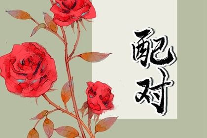 合八字：千年演进概览