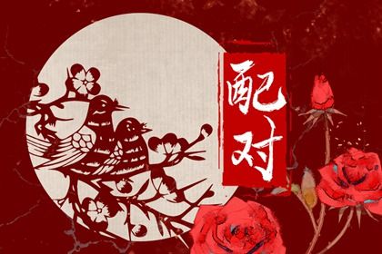 星座配对（民俗参考）