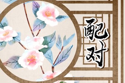 现代婚恋中的合婚角色