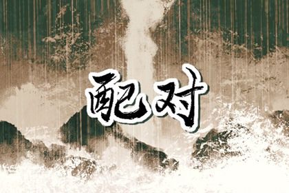日支定夫妻宫：合与冲