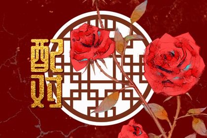 八字阴阳平衡|合盘八字|八字命谱库