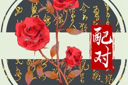 什么是八字合婚？