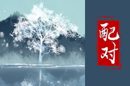 感情与婚姻的关系