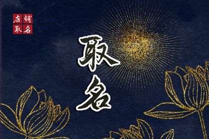 四柱命盘查询_算命盘_元亨紫微排盘系统