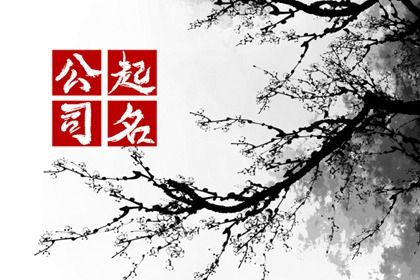 八字选车牌号数字 672车牌号打分 小车车牌号码吉凶查询 汽车车牌号码吉凶 测试车牌号吉凶查询