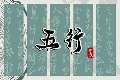 数字化五行参考用法