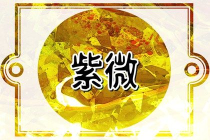 在线紫微查询怎么看