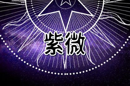 紫微斗数是什么