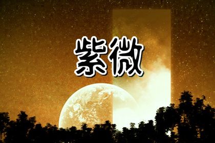 十二宫参考格用法