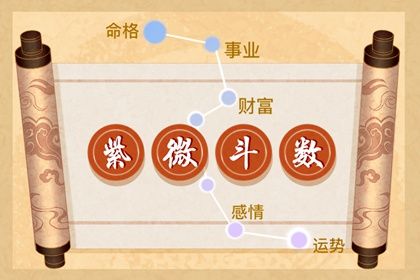 在线排盘看什么