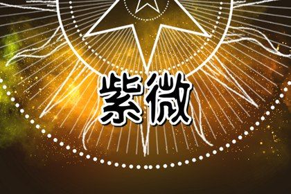本命星宿简介
