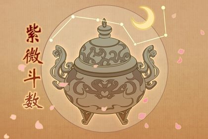 数字化紫微参考用法
